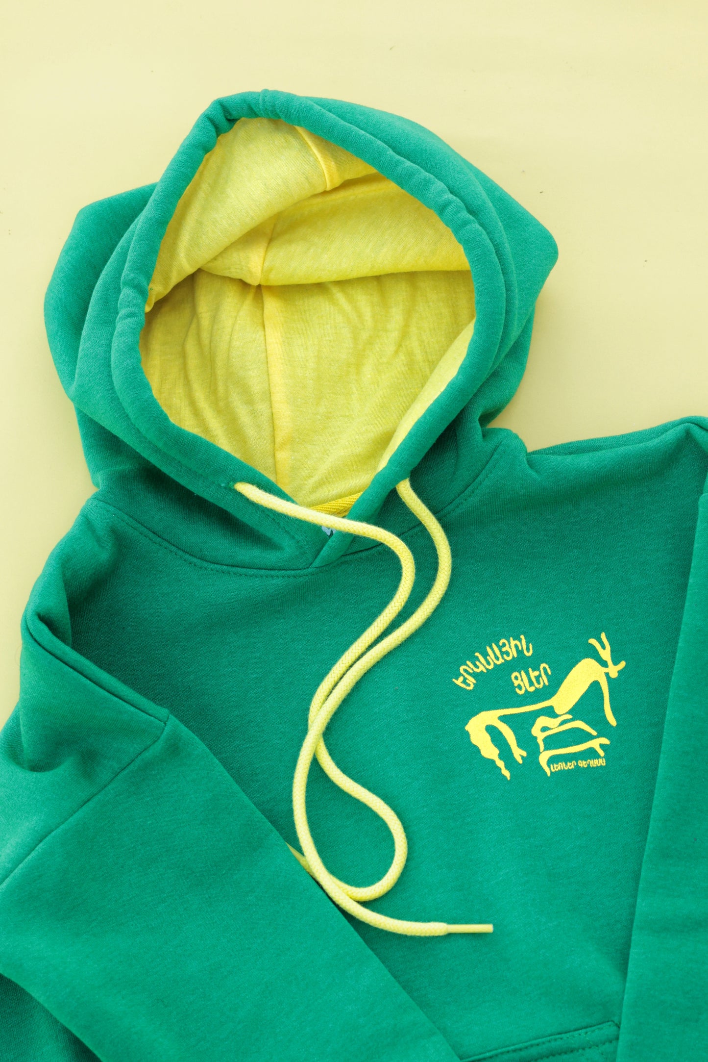 Heavenly bulls - Petroglyphs of the Vishapakar - Hoodie for Kids