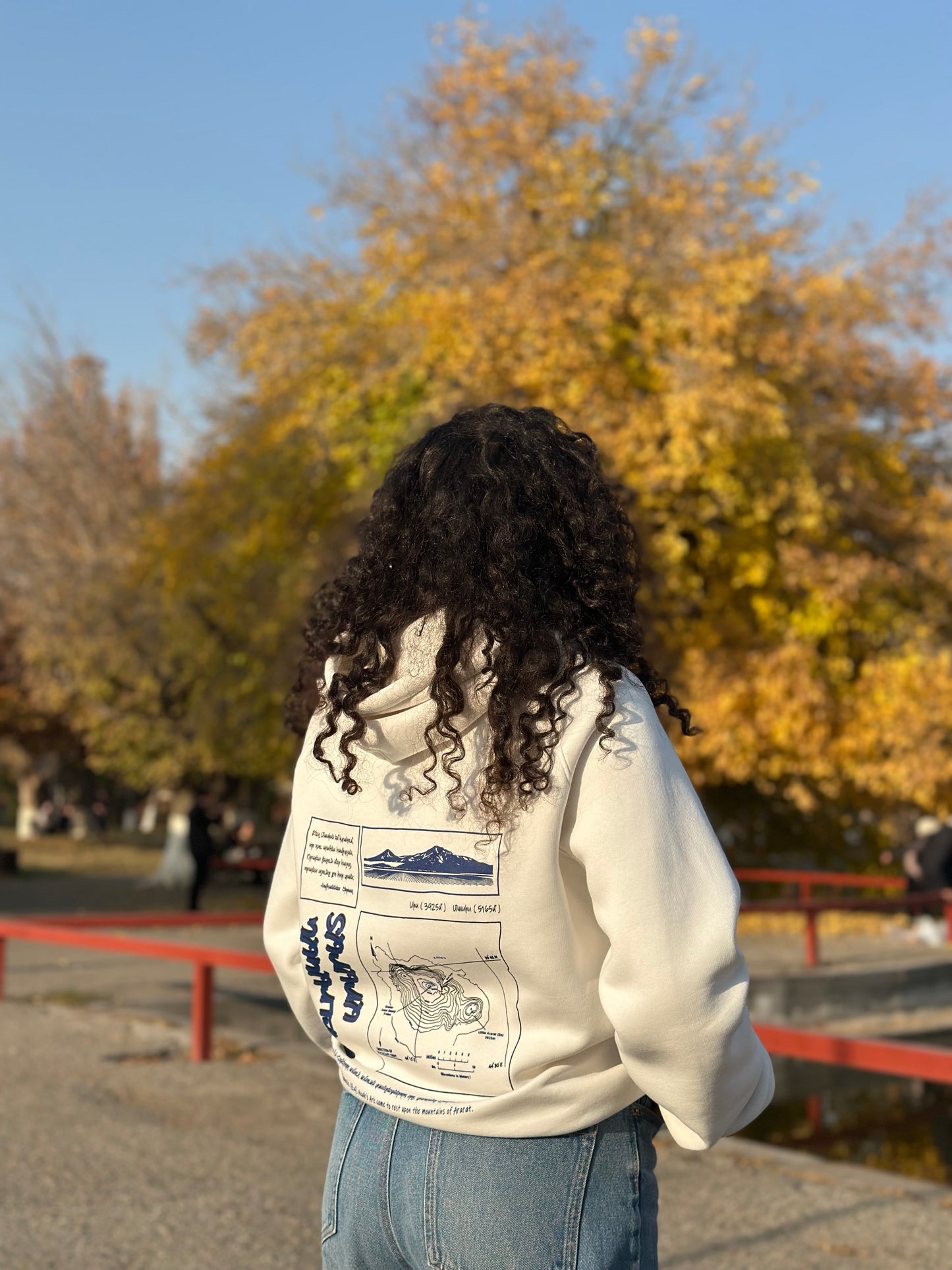 Mount Ararat - Hoodie