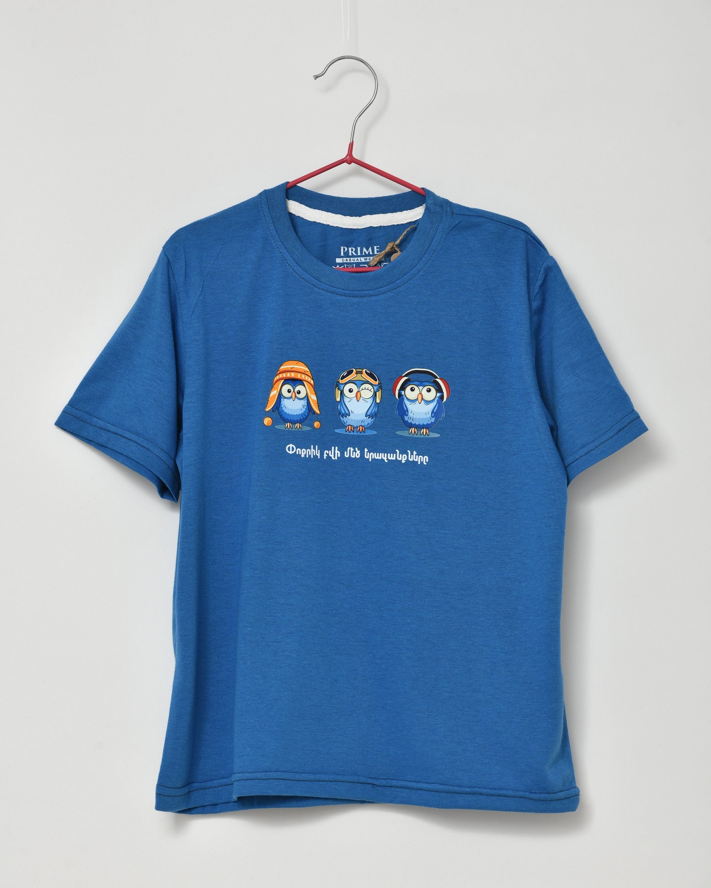 The Little Owl’s Big Dreams - Blue Tee for Kids 