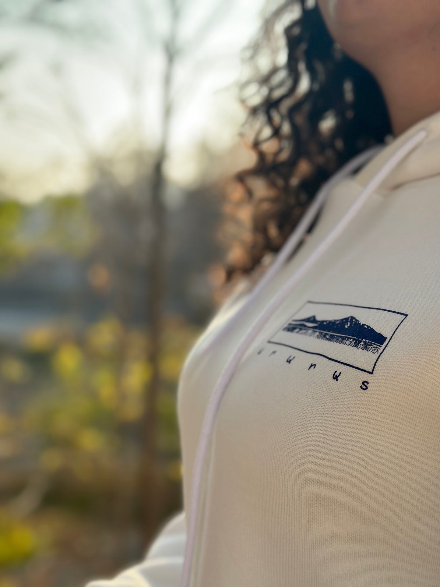 Mount Ararat - Hoodie