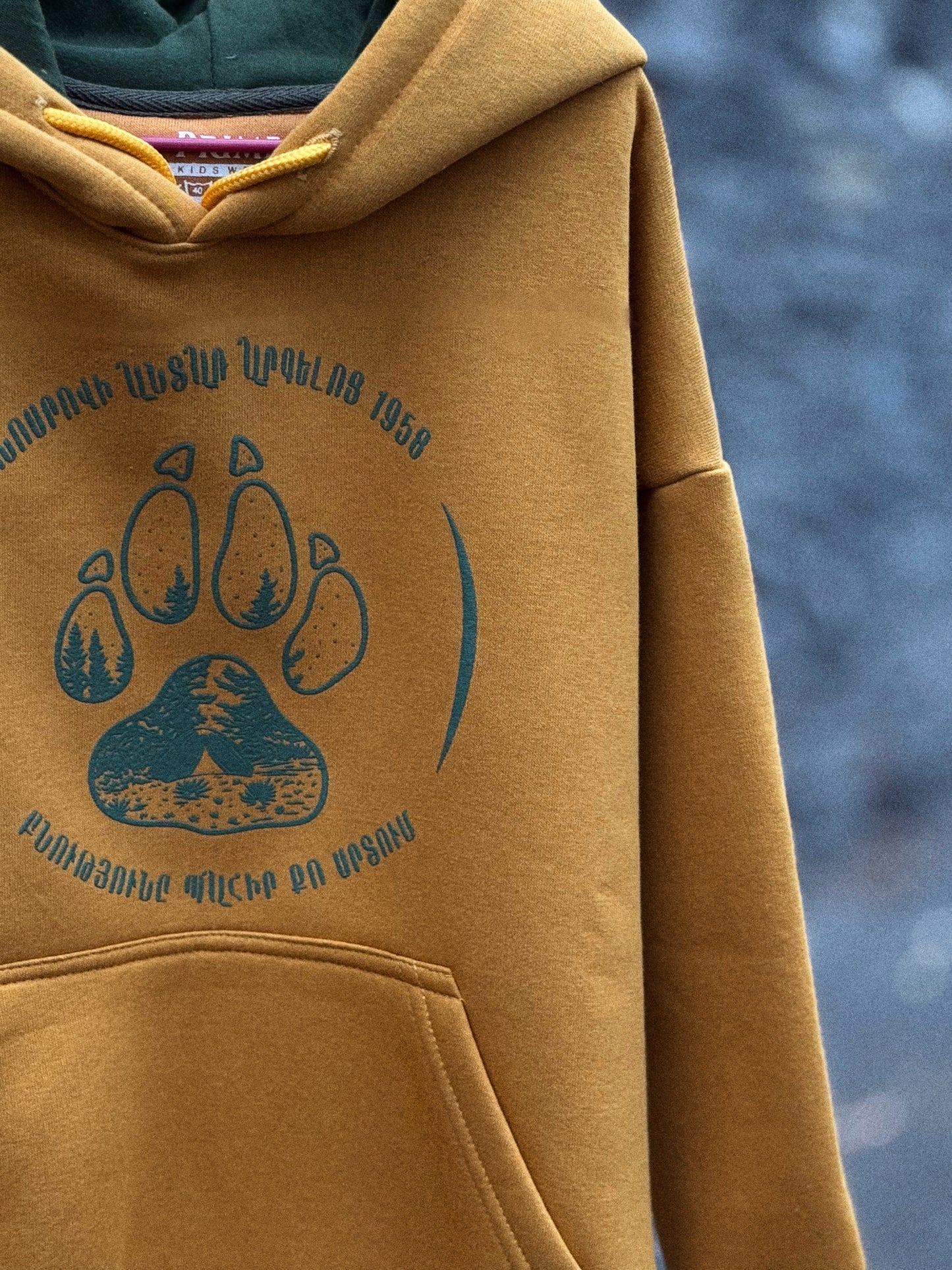 Khosrov Forest kids hoodie with Bear Paw Green Design