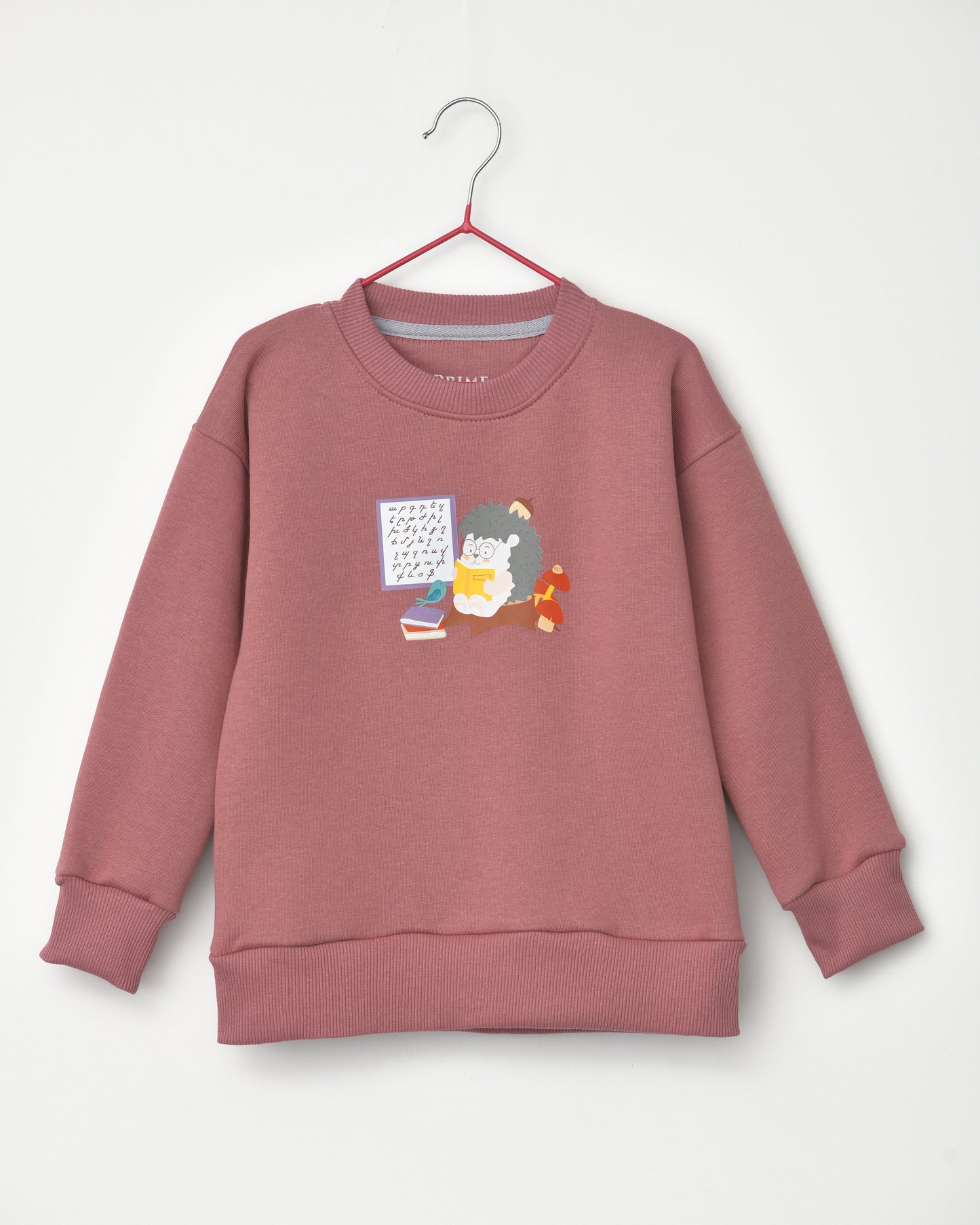 Alphabet and hedgehog sweatshirt