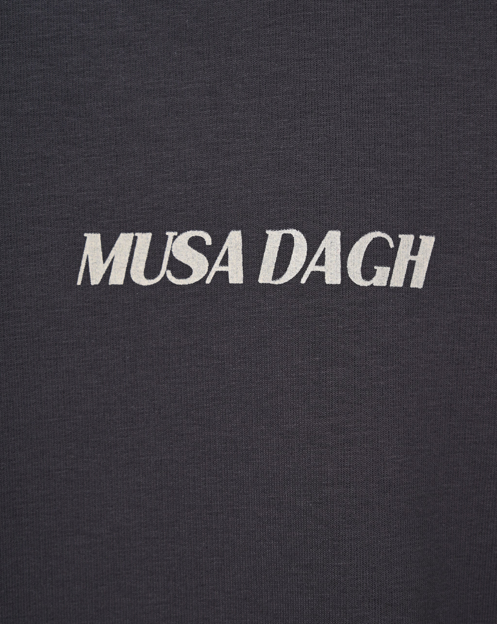 Musa Dagh