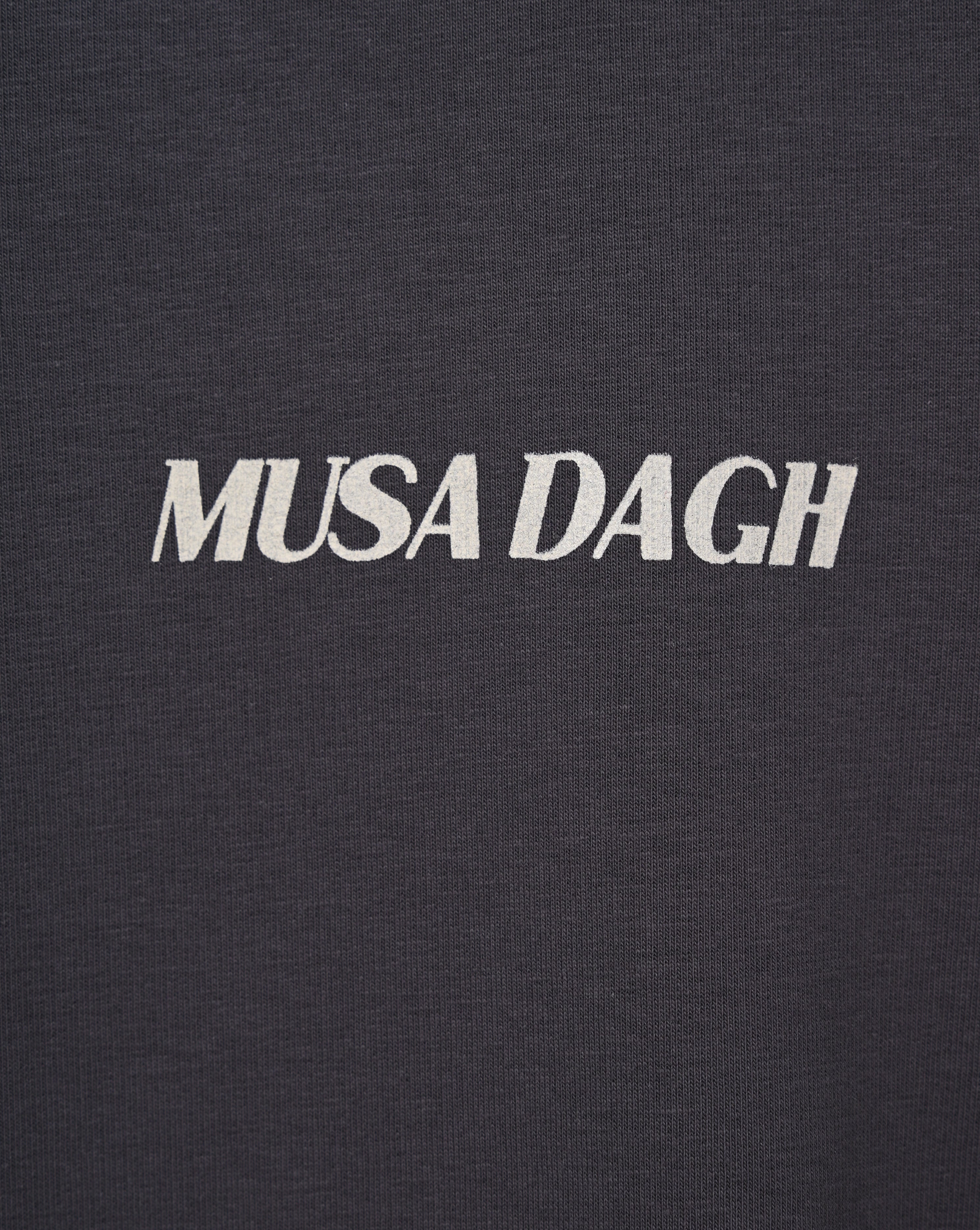 Musa Dagh