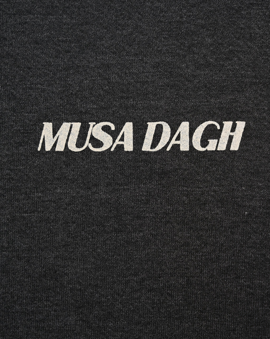 Musa Dagh