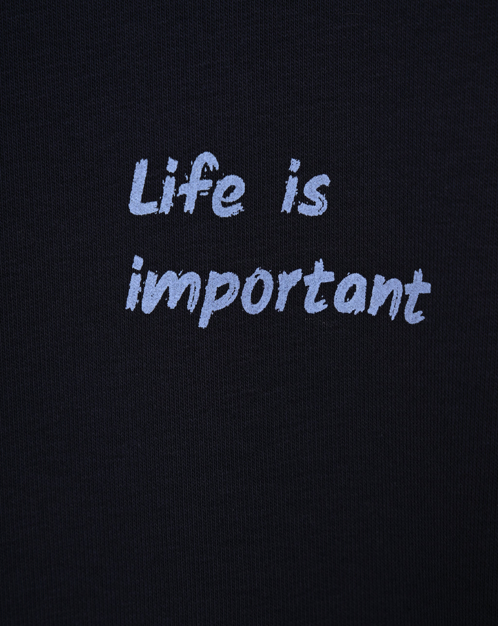 Life Is Important, Charles Aznavour - Sweatshirt