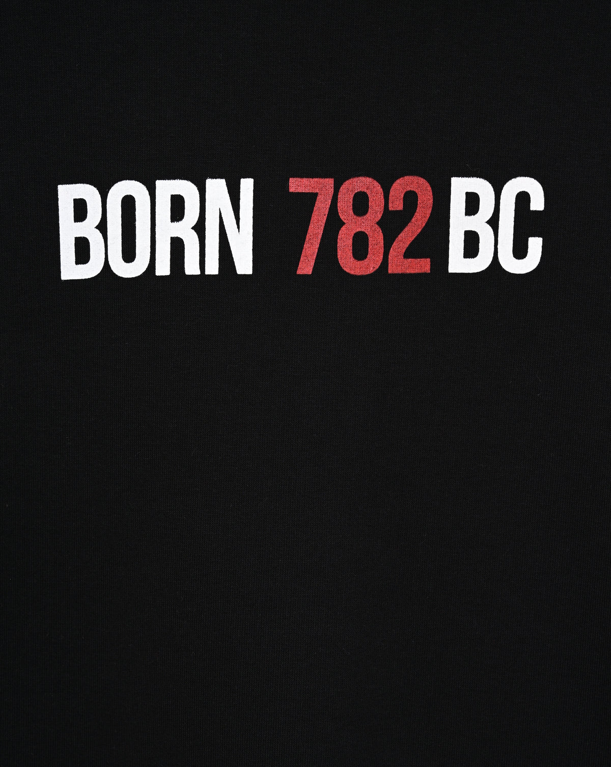Erebuni Yerevan’s Birth Certificate - Hoodie
