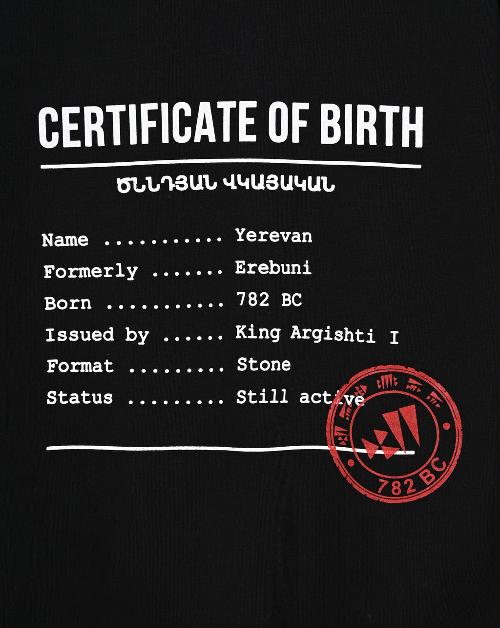 Erebuni Yerevan’s Birth Certificate - Hoodie