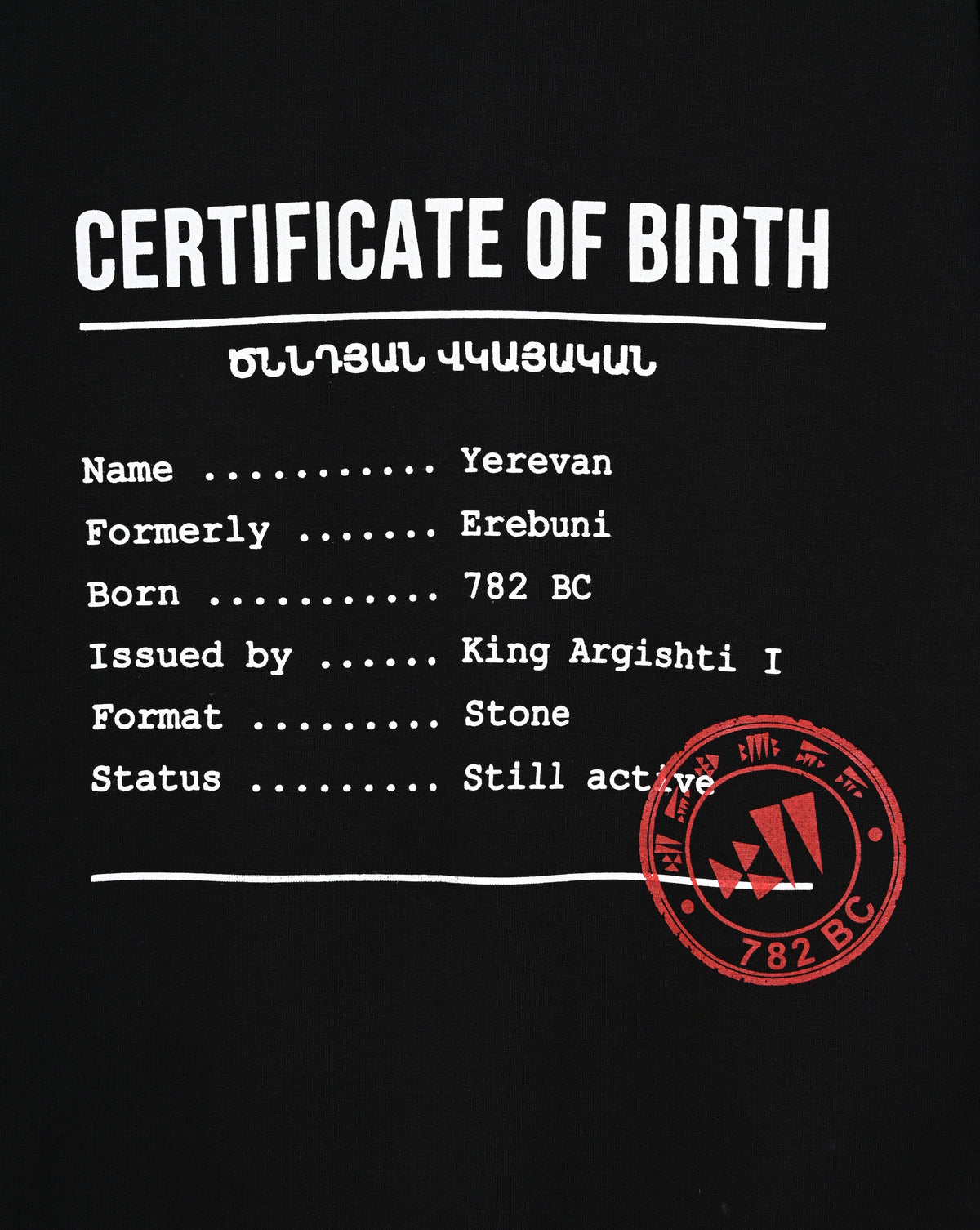 Erebuni Yerevan’s Birth Certificate - Hoodie