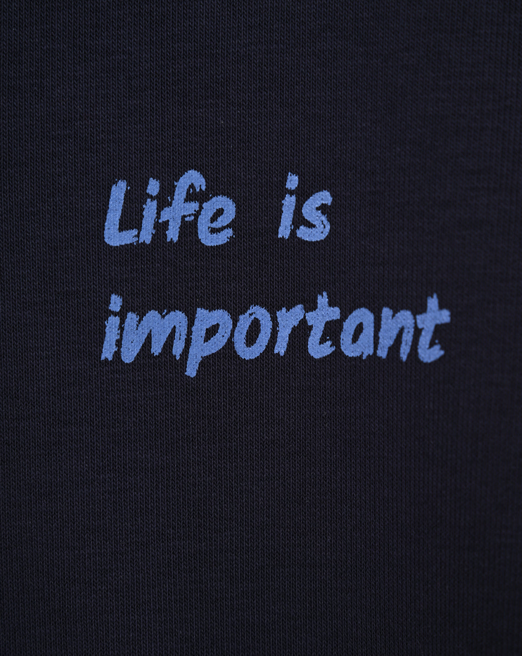 Life Is Important, Charles Aznavour - Jacket