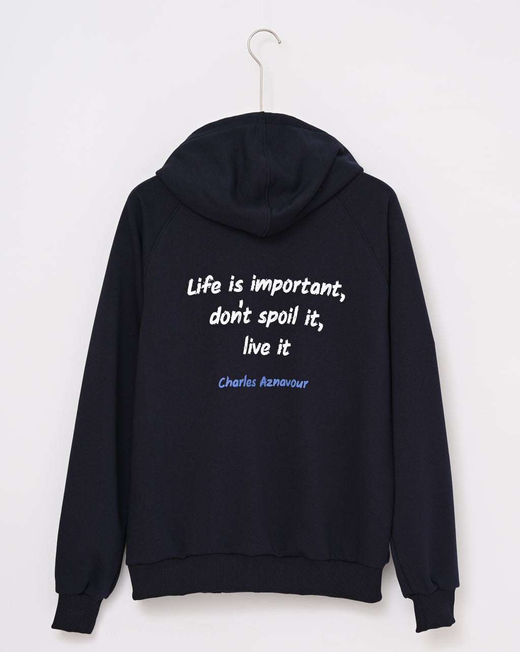 Life Is Important, Charles Aznavour - Jacket