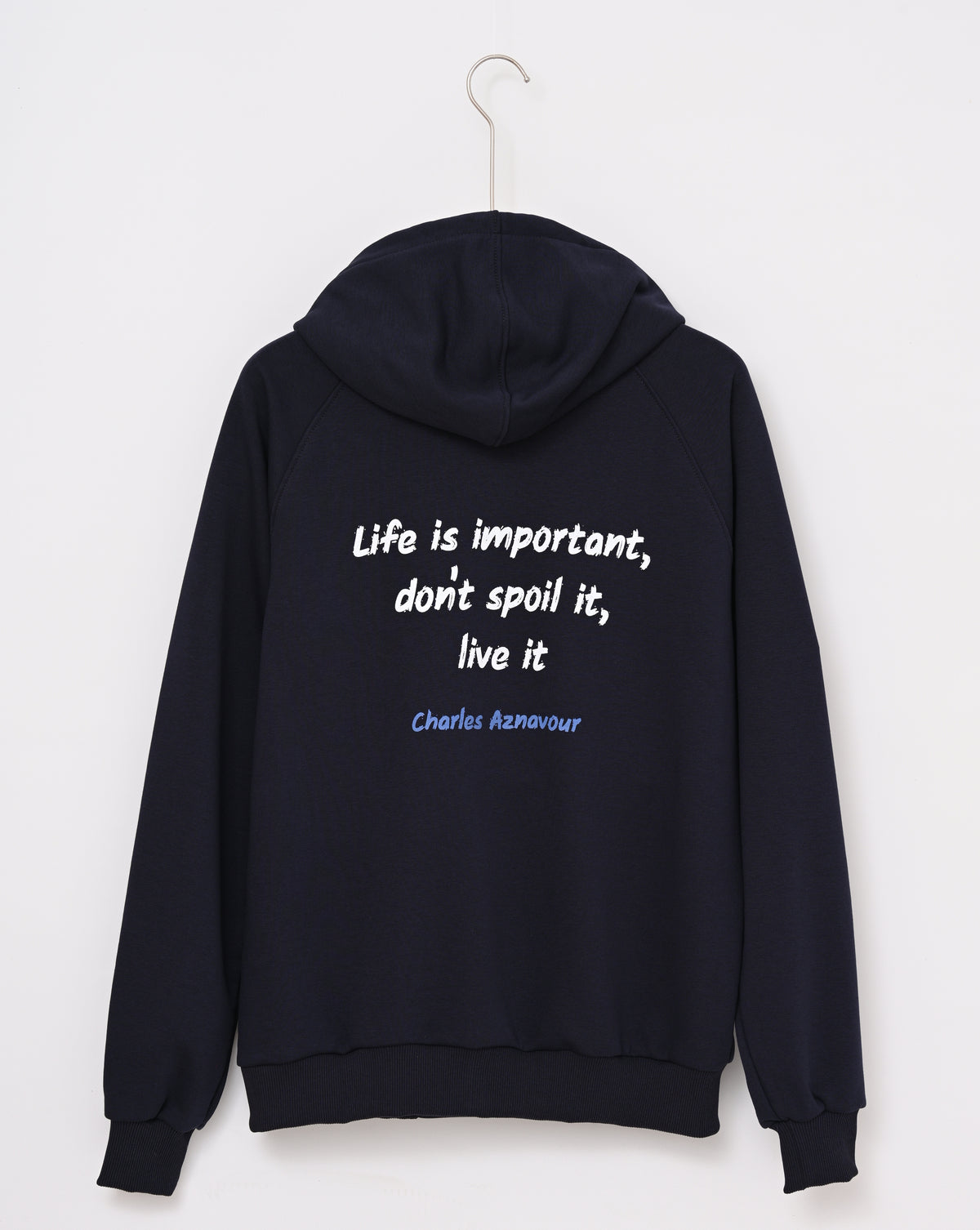 Life Is Important, Charles Aznavour - Jacket