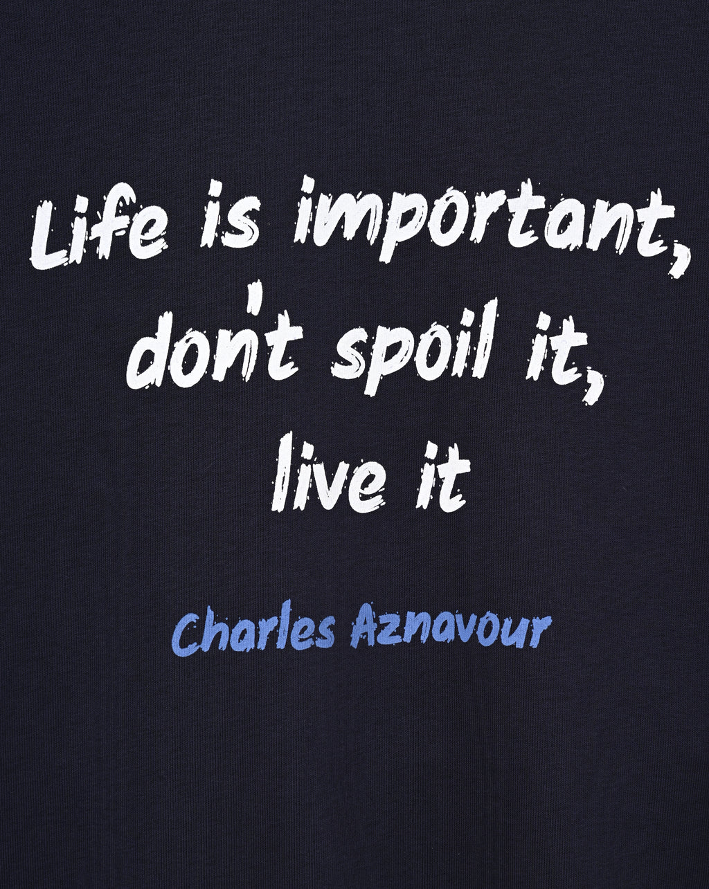 Life Is Important, Charles Aznavour - Jacket