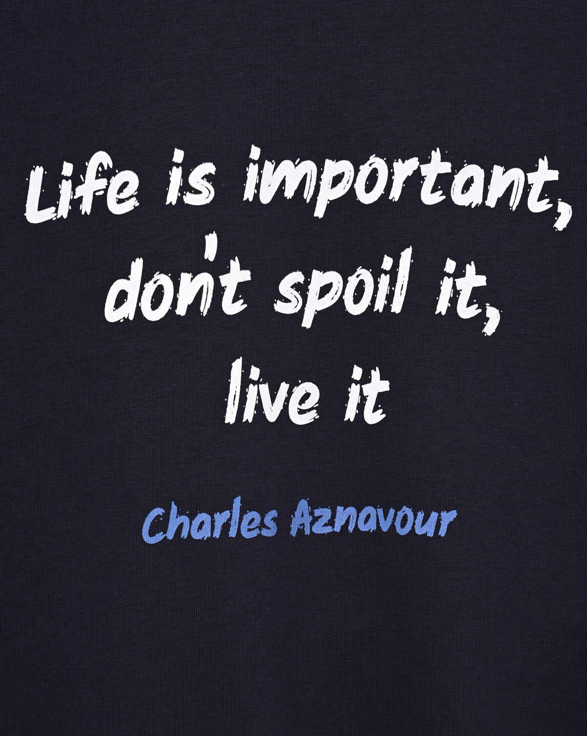 Life Is Important, Charles Aznavour - Jacket